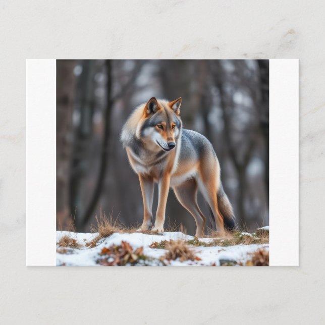 Postal De Anuncios Invitation and announcement  (Anverso)