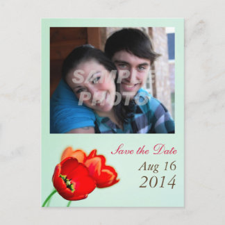 Postal De Anuncios Jardín de menta floral tulipán rojo primavera salv