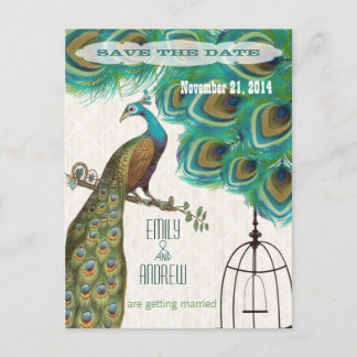 Postal De Anuncios Jaula para pájaros pavo real con enrejado de veta