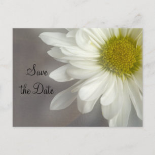 Postal De Anuncios La margarita blanca suave de la boda gris salva la
