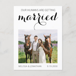 Postal De Anuncios La moderna Mascota de fotografía Boda de Caballo S