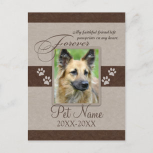 Postal De Anuncios La simpatía de los Mascotas por siempre amados