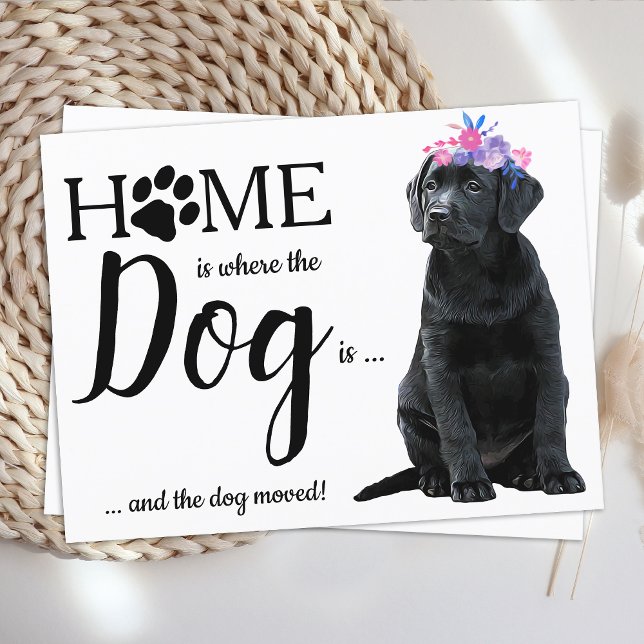 Postal De Anuncios Labrador negro hemos movido perros (Subido por el creador)