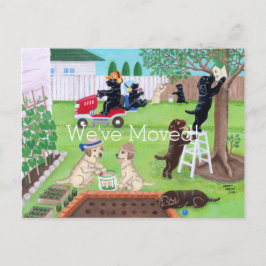 Postal De Anuncios Labradores divertidos dominicales pintando nueva d