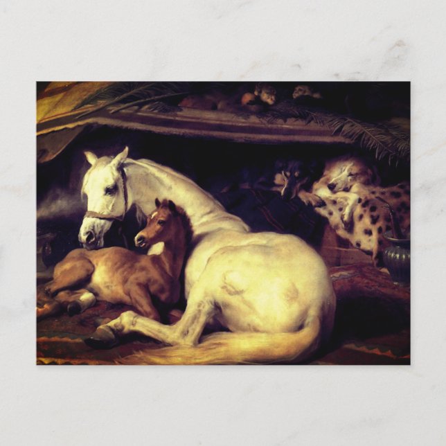 Postal De Anuncios Landseer Los Caballos De Carpas Árabes (Anverso)