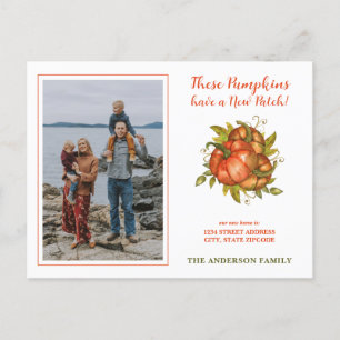 Postal De Anuncios Las calabazas tienen nueva foto de parche Hemos mu