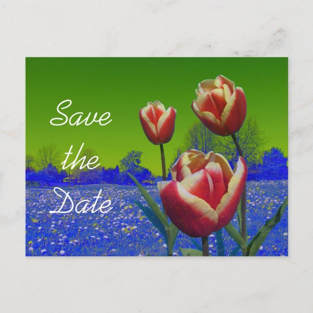 Postal De Anuncios las flores tulipán salvan la fecha (Anverso)