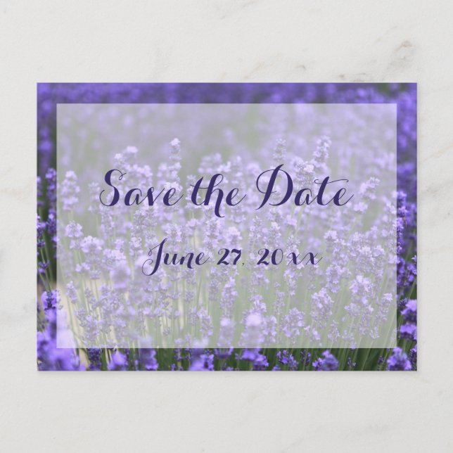 Postal De Anuncios Lavanda Púrpura Personalizada Salven Las Fechas (Anverso)
