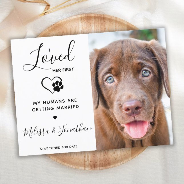 Postal De Anuncios Le Amó Primero Compromiso De Perro De Boda De Masc (Subido por el creador)