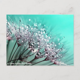 Postal De Anuncios Le bon matin des fleurs