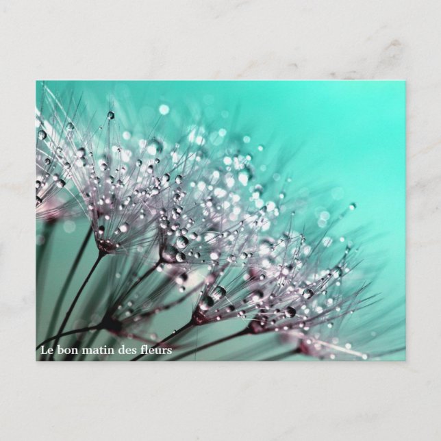 Postal De Anuncios Le bon matin des fleurs (Anverso)