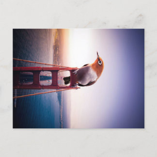 Postal De Anuncios Lienzo de regalo de pájaro para amante de las aves