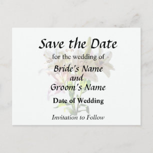 Postal De Anuncios Lilies rosas pálidas iluminadas