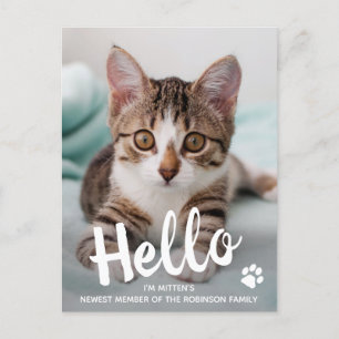 Postal De Anuncios Lindo Gatito Foto Personalizada de Gato Hola Nueva