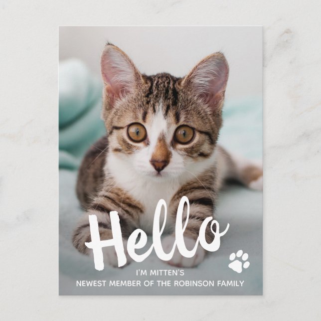 Postal De Anuncios Lindo Gatito Foto Personalizada de Gato Hola Nueva (Anverso)