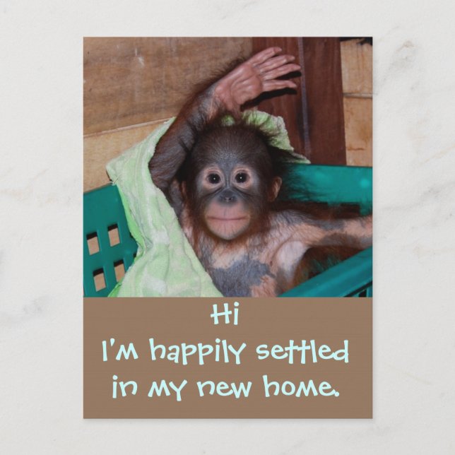 Postal De Anuncios Lindo Nuevo Hogar Cambio de Dirección (Anverso)