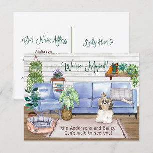 Postal De Anuncios Lindo Shih Tzu Hogar Acogedor Mudanza