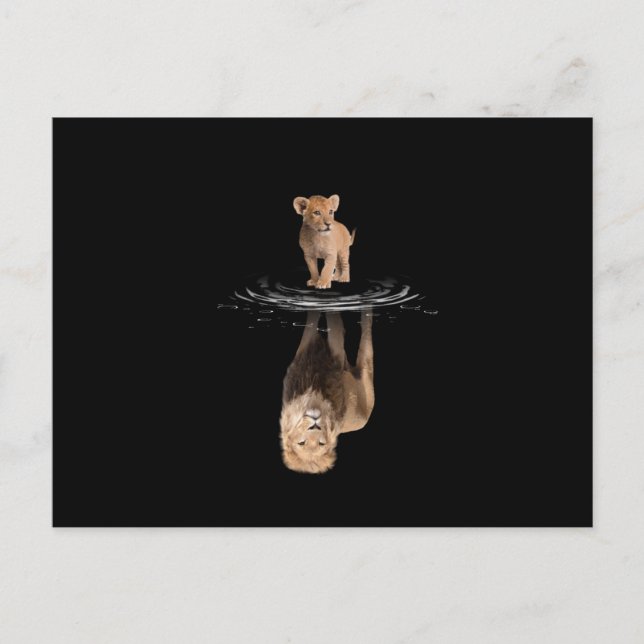 Postal De Anuncios Lion Life Lion Love King Lion (Anverso)