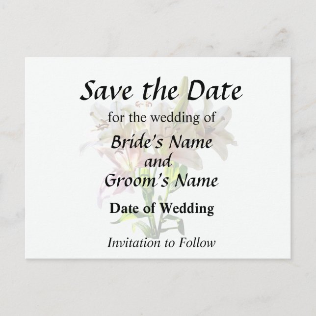 Postal De Anuncios Lirios rosados pálidos con iluminación trasera (Anverso)