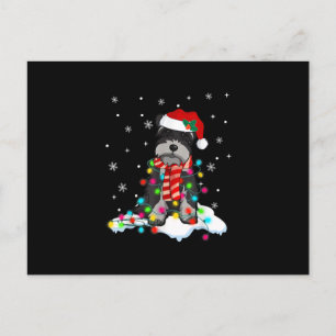 Postal De Anuncios luces de navidad de schnauzer lindo con sombrero d
