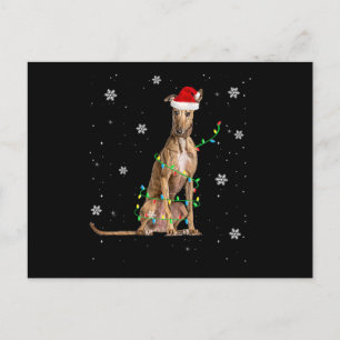 Postal De Anuncios Luces de Navidad Whippet Santa Lindo Whippet Navid