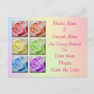 Postal De Anuncios Macro Rosas Arcoiris Matando Salven La Fecha