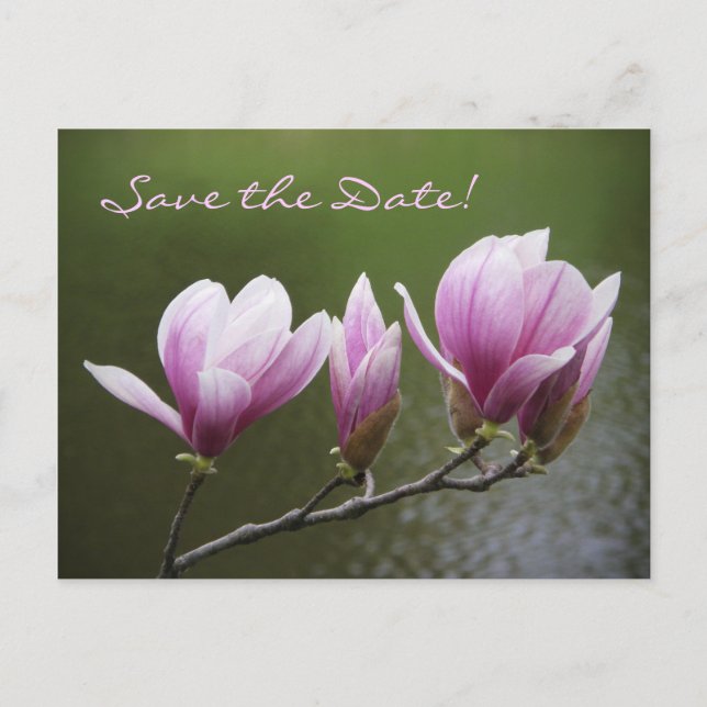 Postal De Anuncios ¡Magnolias, guarde la fecha! (Anverso)
