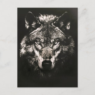 Postal De Anuncios Majestuoso Lobo Salvaje Monocromo