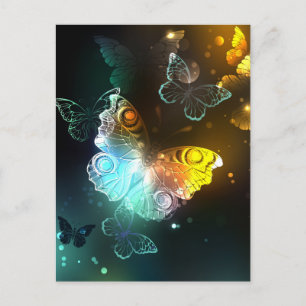 Postal De Anuncios Mariposa luminosa y mariposas nocturnas