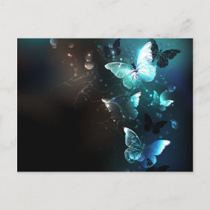 Postal De Anuncios Mariposas nocturnas