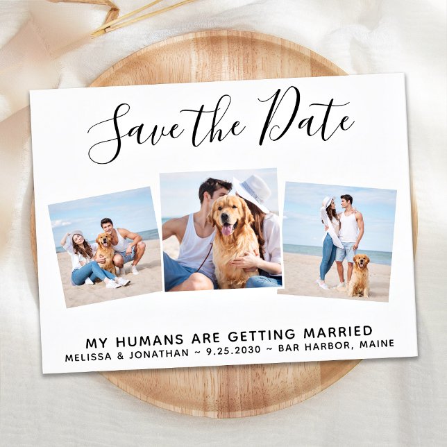 Postal De Anuncios Mascota Boda Collage de fotos Perro Guardar La Fec (Subido por el creador)