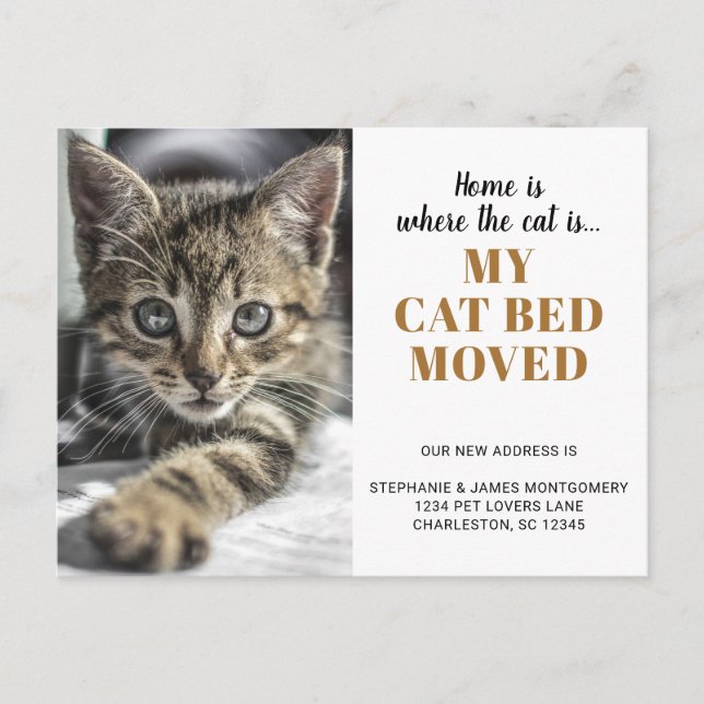Postal De Anuncios Mascota personalizado de fotografía de gato divert (Anverso)