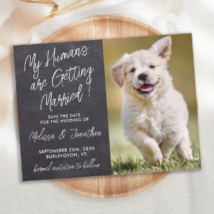 Postal De Anuncios Mascota Rústico Boda Personalizado Foto Perro Salv