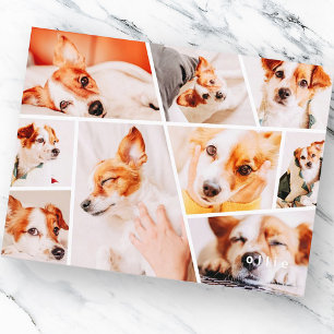 Postal De Anuncios Mascotas Moderno Sencillo Personalizado 9 Imágenes