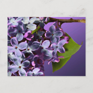 Postal De Anuncios Matrimonio fotográfico Purple Lilac Save The Dates