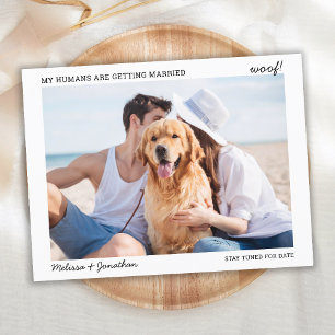 Postal De Anuncios Mis Humanos se Casaron Boda de Mascotas Compromiso
