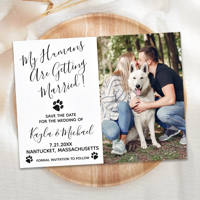 Postal De Anuncios Mis Humanos Se Van a Casar Boda de Perro (Subido por el creador)