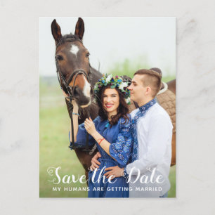 Postal De Anuncios Mis Seres Humanos Están Casándose Con Caballos, Sa