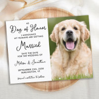 Mis Seres Humanos Se Casan Con Boda De Perro Perso