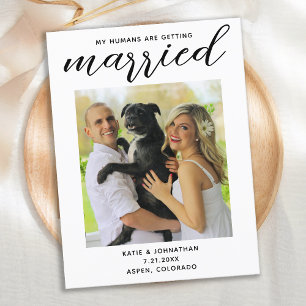 Postal De Anuncios Mis Seres Humanos Se Casan - Simple Boda De Perro