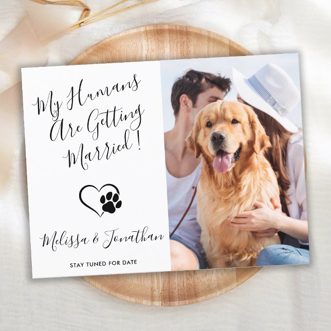 Postal De Anuncios Moderna Foto de Mascotas Simple Boda de Perro Comp (Subido por el creador)