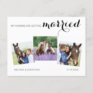 Postal De Anuncios Moderno 3 Fotos Bodas De Mascotas De Caballos Salv