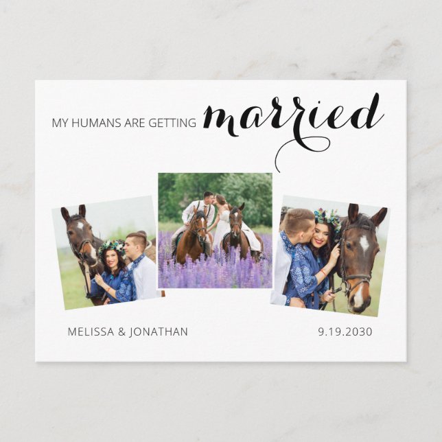 Postal De Anuncios Moderno 3 Fotos Bodas De Mascotas De Caballos Salv (Anverso)