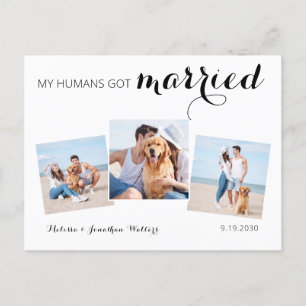 Postal De Anuncios Moderno Collage de fotos Perro Boda Elopement