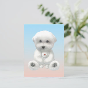 Postal De Anuncios Momento Acogedor: Bichon Sonriente Abraza a Mini C