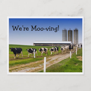 Postal De Anuncios Moo-ving, divertida diferencia de dirección de vac