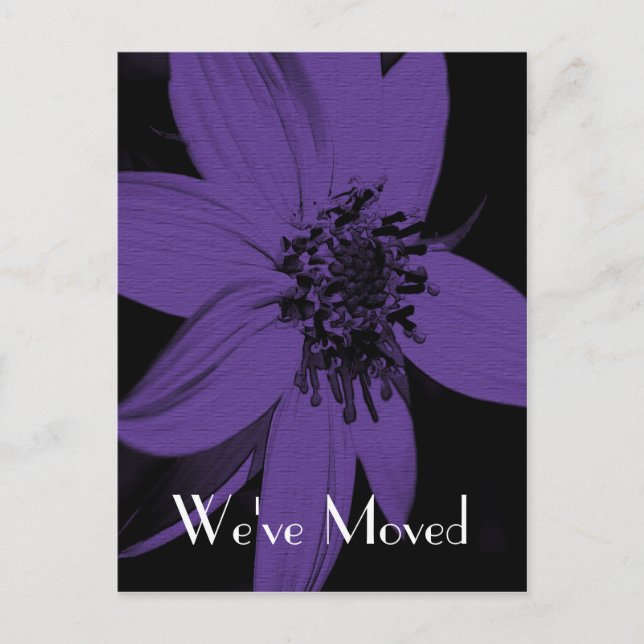 Postal De Anuncios Morado Girasol Nueva dirección Postcard de arte fl (Anverso)