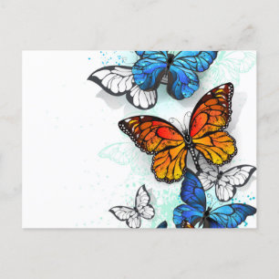 Postal De Anuncios Morfo y monarca de las mariposas voladoras