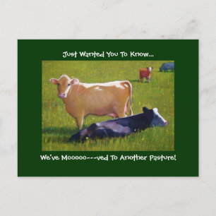 Postal De Anuncios MOVIMIENTO de la INVITACIÓN: Vacas en maduración: