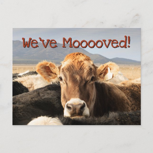 Postal De Anuncios Mudanza (Anverso)